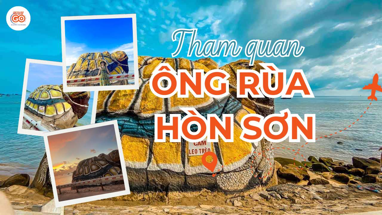 Ông Rùa Hòn Sơn - Địa điểm check-in triệu view năm 2026 1 Ông rùa Hòn Sơn