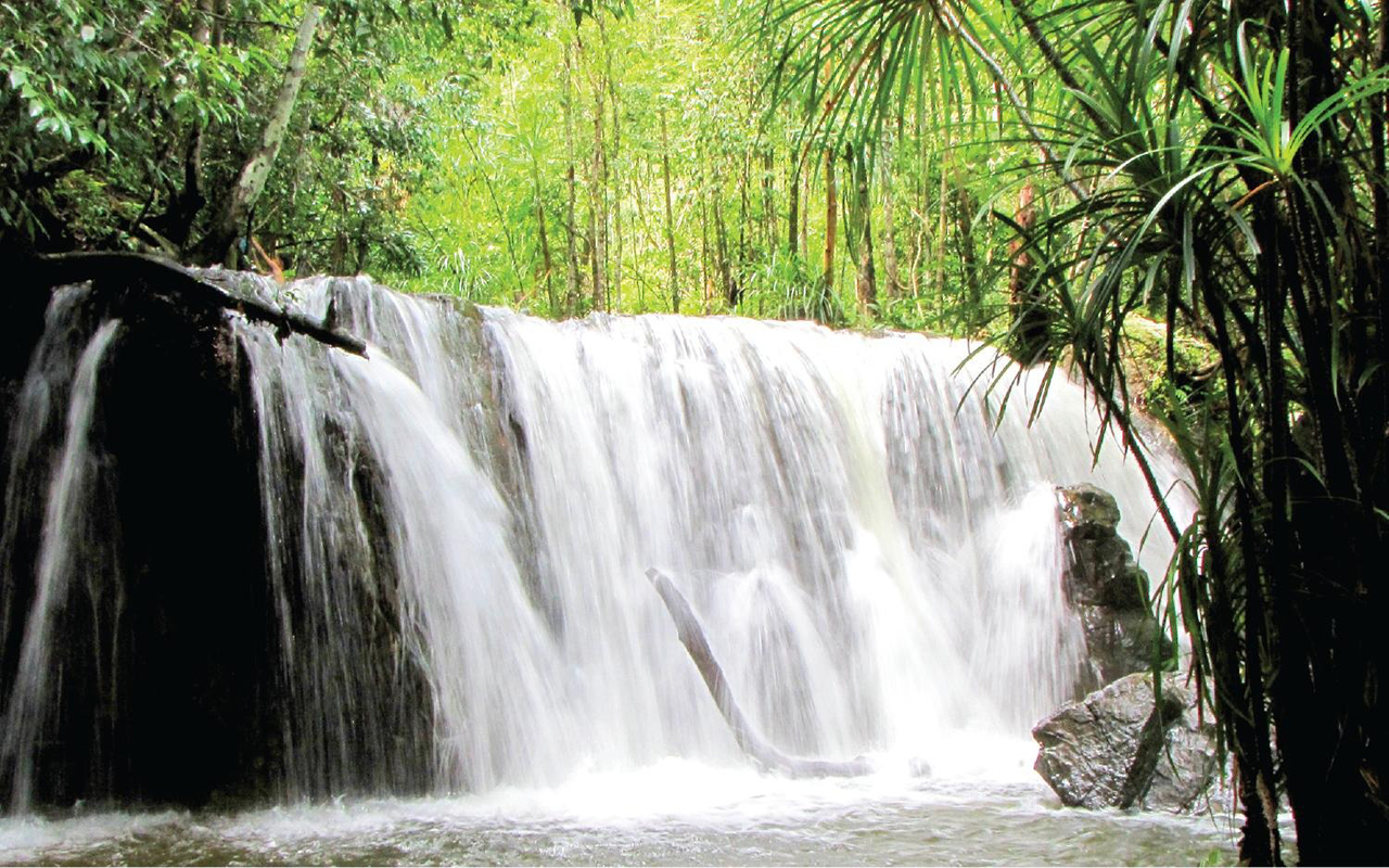 Suối tranh Phú Quốc