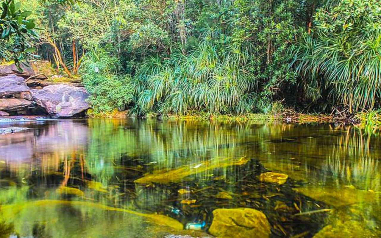 Thời tiết rất đẹp phù hợp để đi trekking