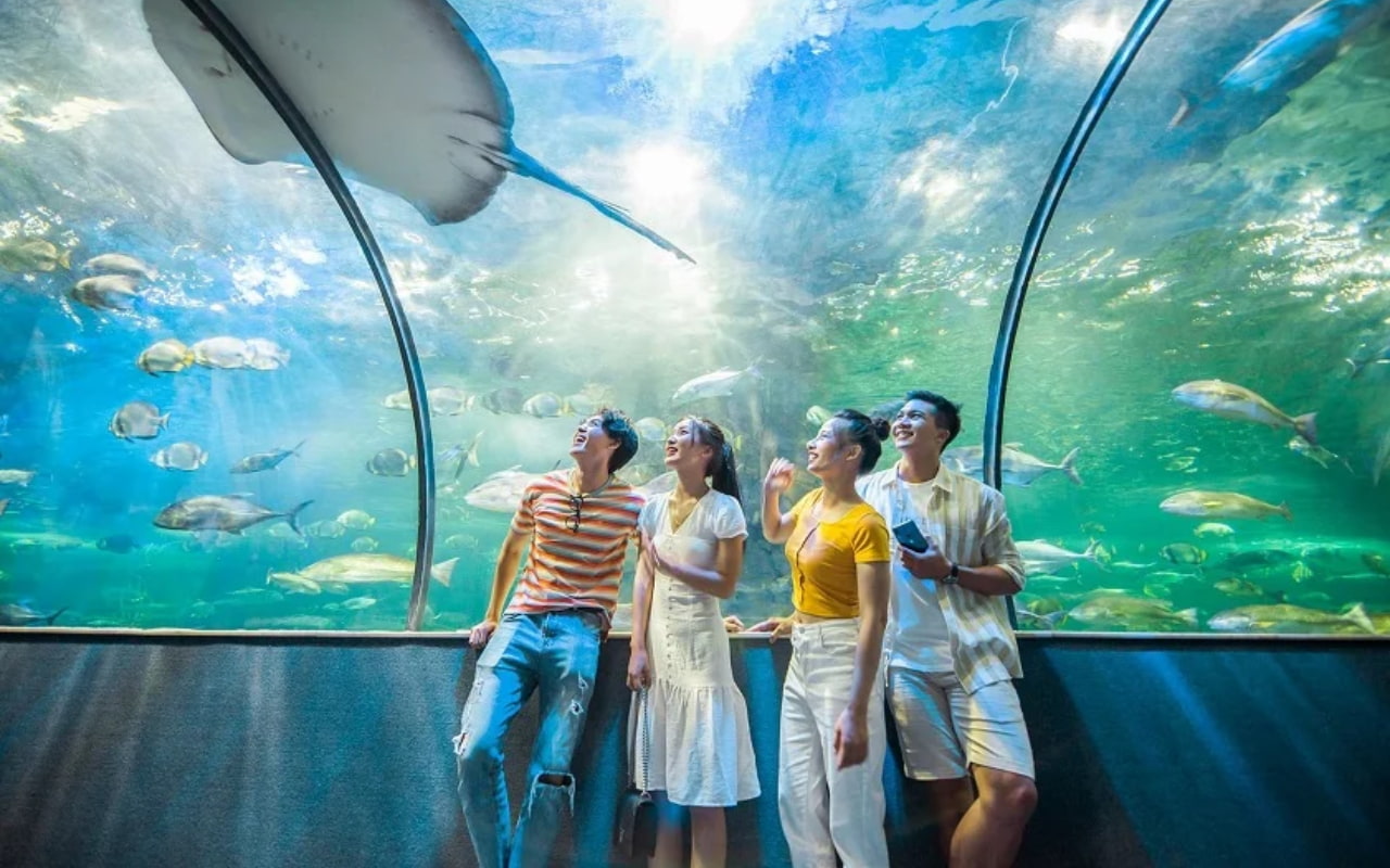Thủy cung phú quốc có gì