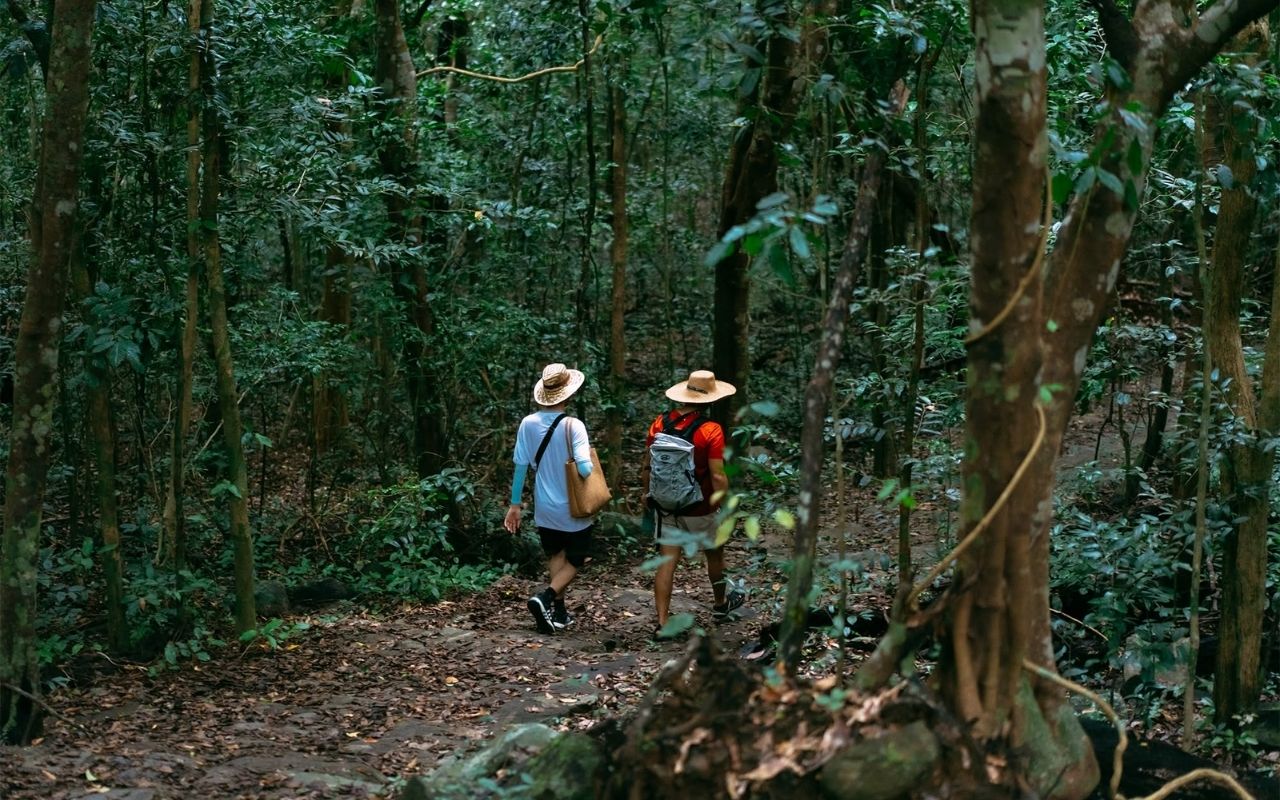 Kinh nghiệm trekking Núi Con Voi Côn Đảo từ A-Z (2026) 12 Đoạn rừng trước khi lên núi