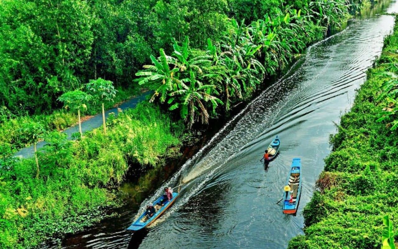 Du lịch Cà Mau - Kinh nghiệm khám phá cực Nam tổ quốc 2026 7 Vườn Quốc gia U Minh Hạ
