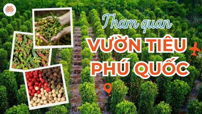 Vườn tiêu Phú Quốc