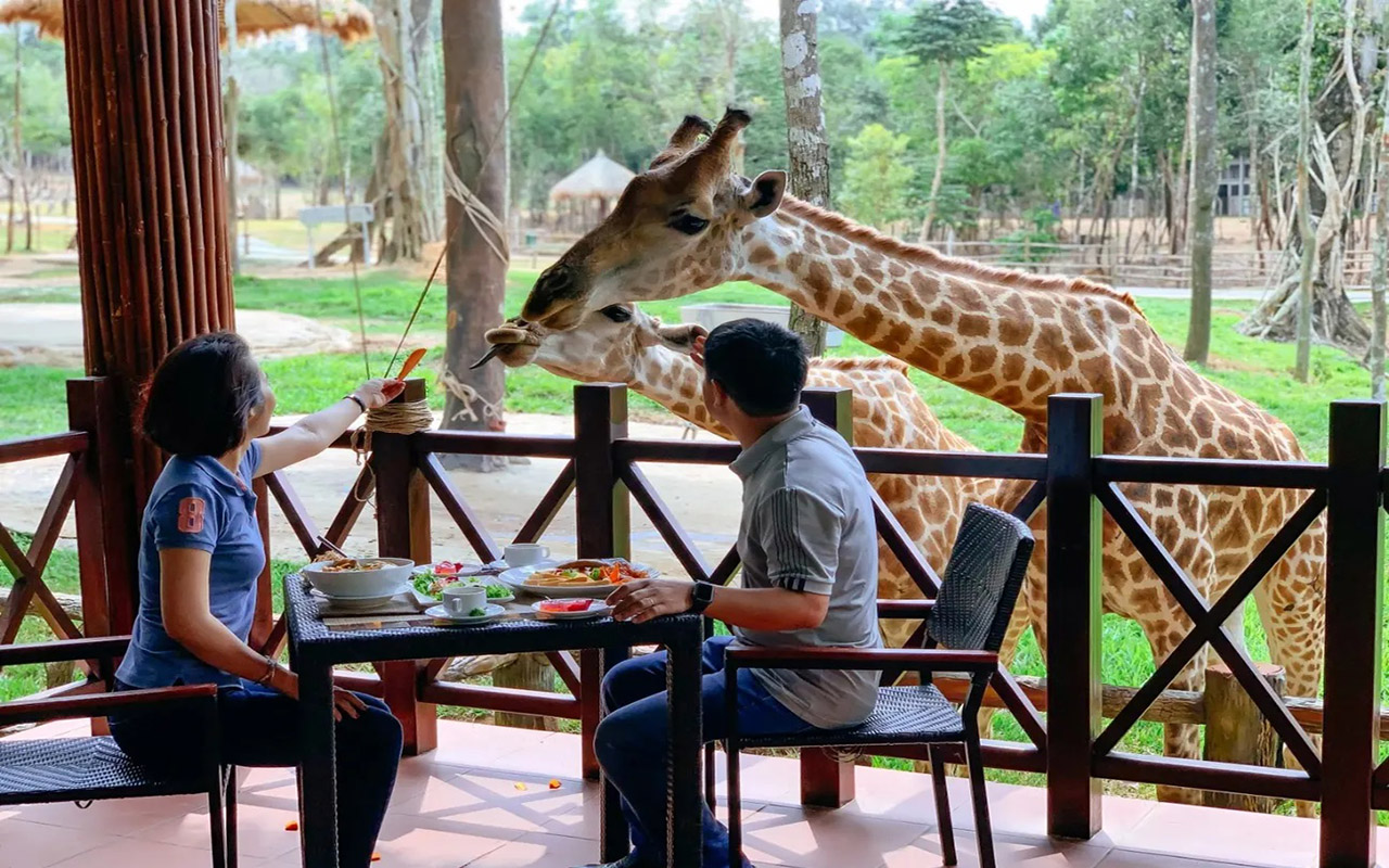Vinpearl Safari Phú Quốc - Kinh nghiệm, giá vé chi tiết (2026) 10 ăn gì ở vinpearl safari phú quốc