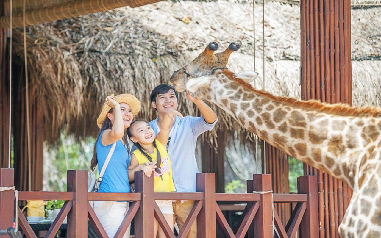 Vinpearl Safari Phú Quốc - Kinh nghiệm, giá vé chi tiết (2026) 11 chơi gì ở vinpearl safari phú quốc