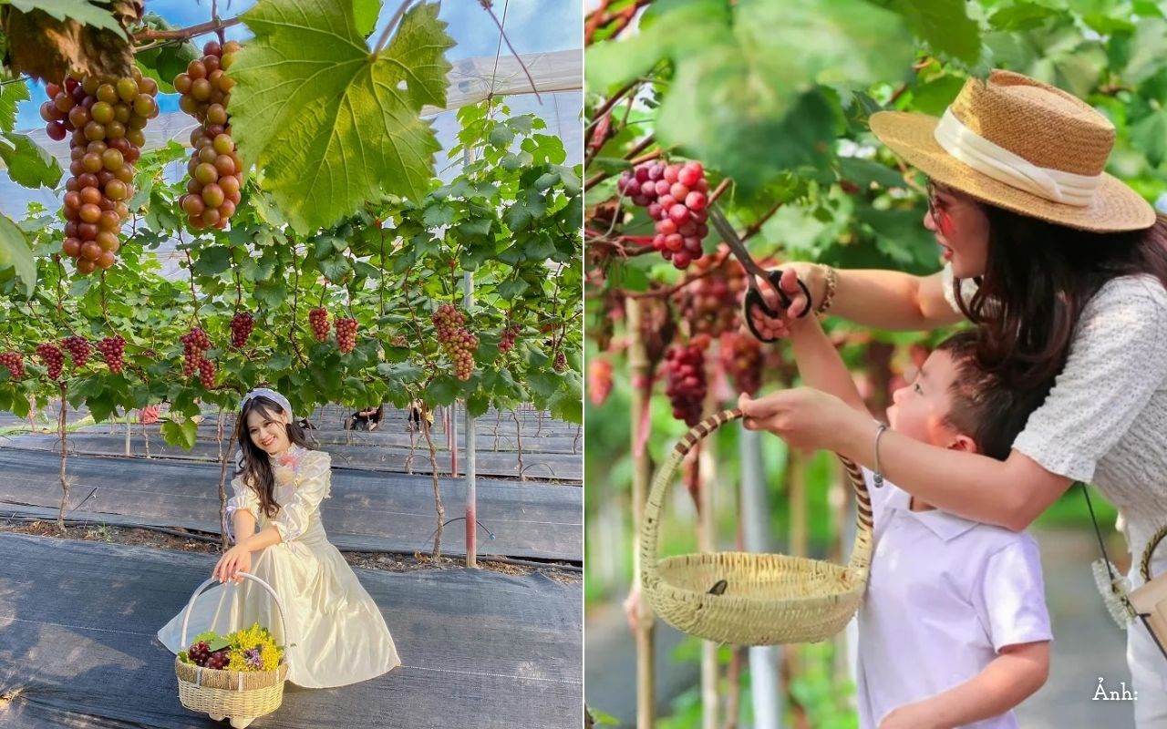 Du lịch Phan Thiết 2026 - Kinh nghiệm & mẹo du lịch từ A-Z 18 đi du lịch Phan Thiết tự túc