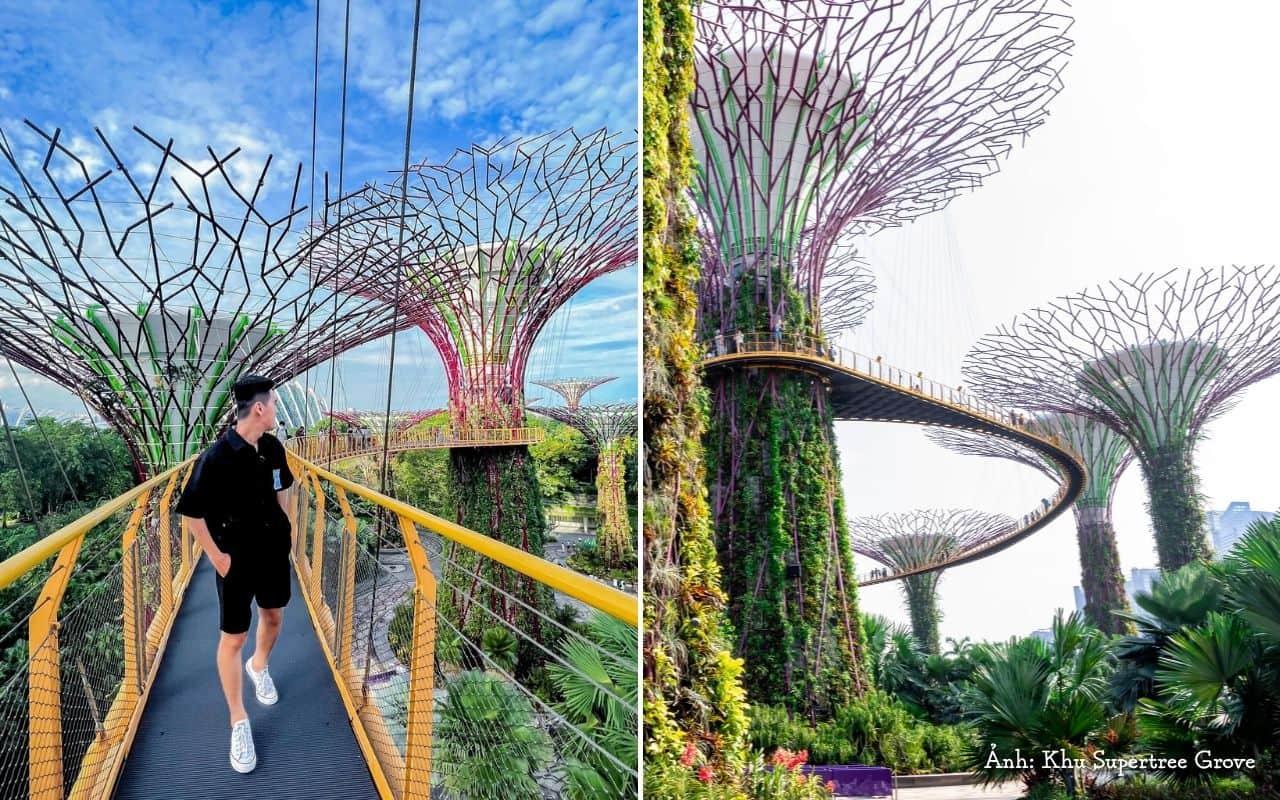 đi du lịch Singapore tự túc