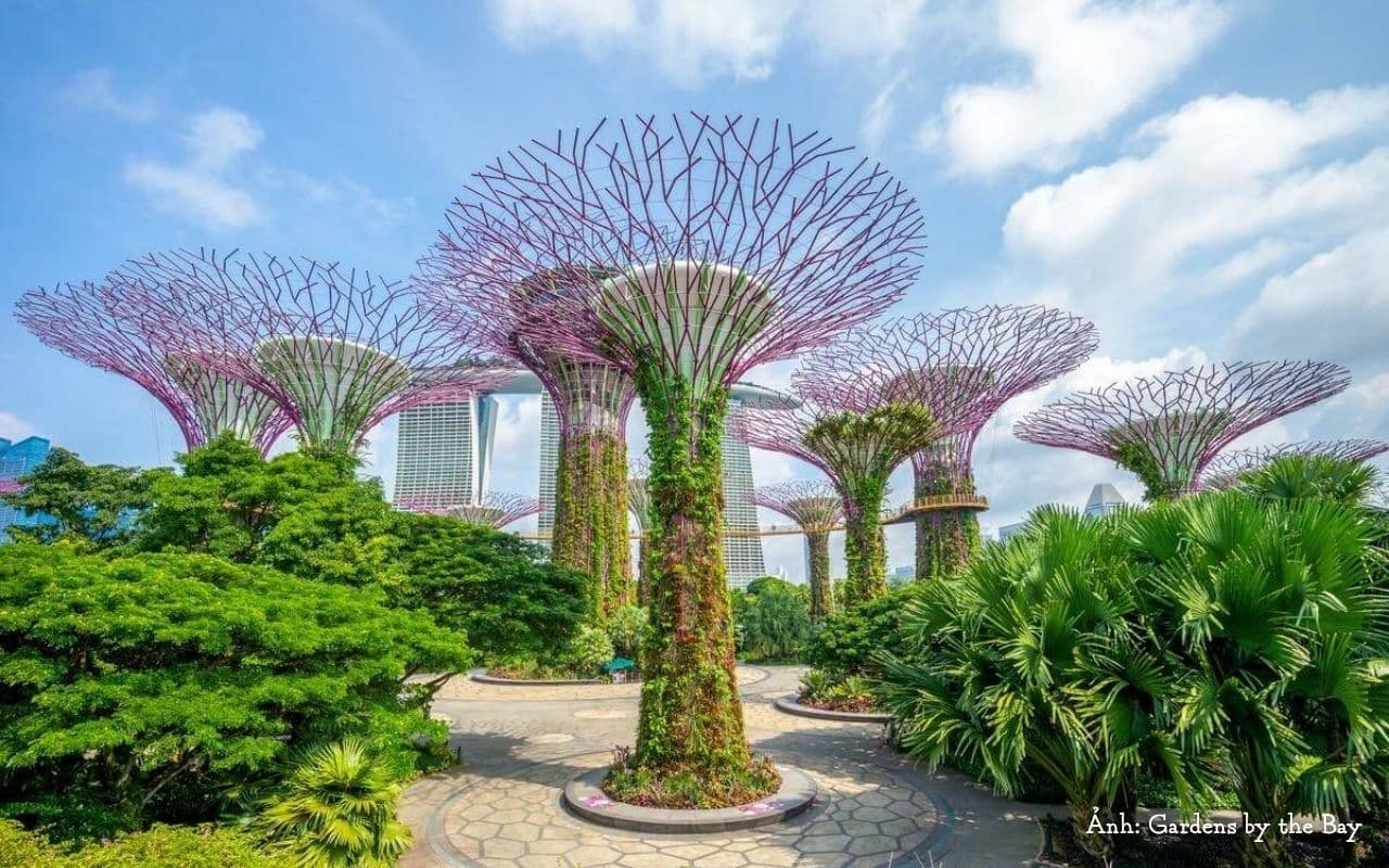 đi du lịch Singapore
