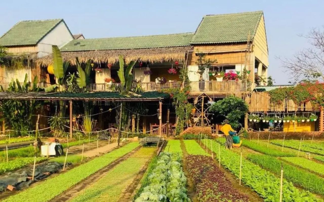 Phố cổ Hội An - Cẩm nang du lịch phố cổ chi tiết A-Z (2026) 12 đi phố cổ Hội An