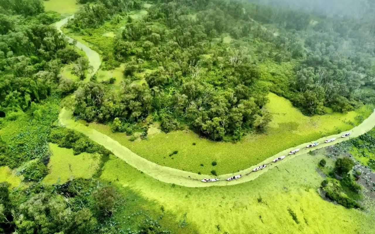 Rừng Tràm Trà Sư An Giang - Kinh nghiệm du lịch A-Z 2026 4 diện tích rừng tràm Trà Sư