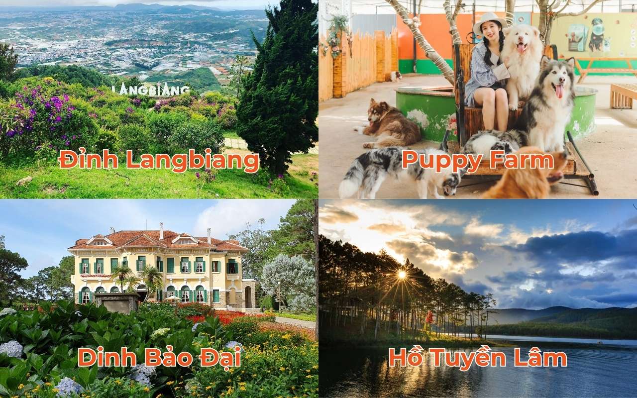 Du lịch Đà Lạt - Kinh nghiệm chi tiết từ A-Z 2026 6 Thành phố sương mù sở hữu vô số cảnh quan tuyệt mỹ
