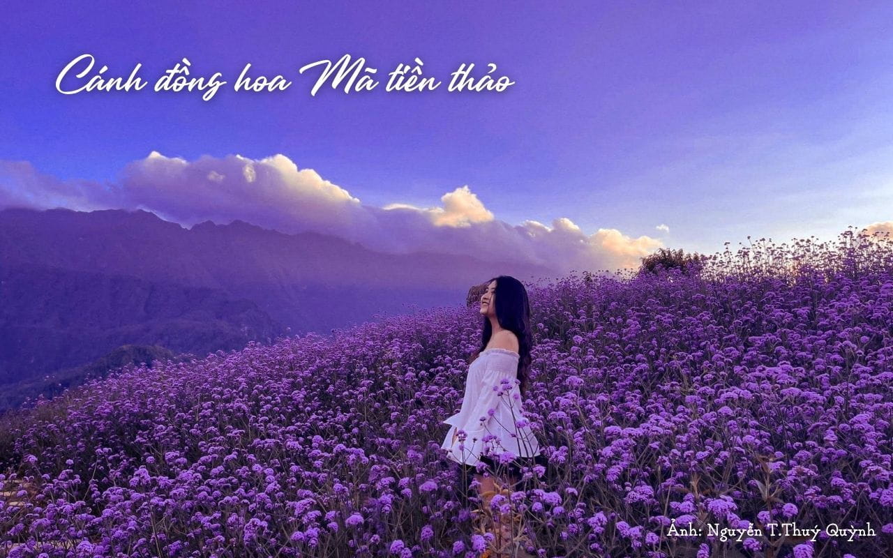 du lịch Sapa mùa nào đẹp