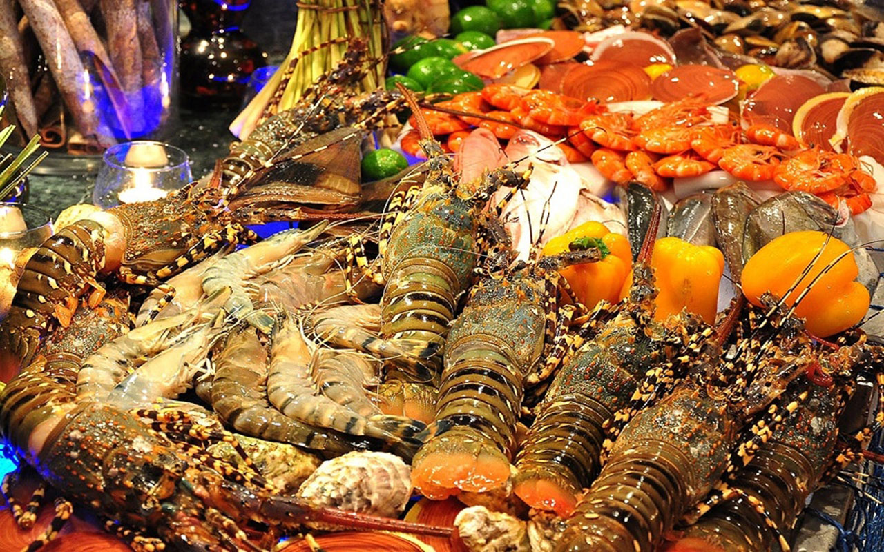 giới thiệu về cánh đồng điện gió ở bạc liêu
