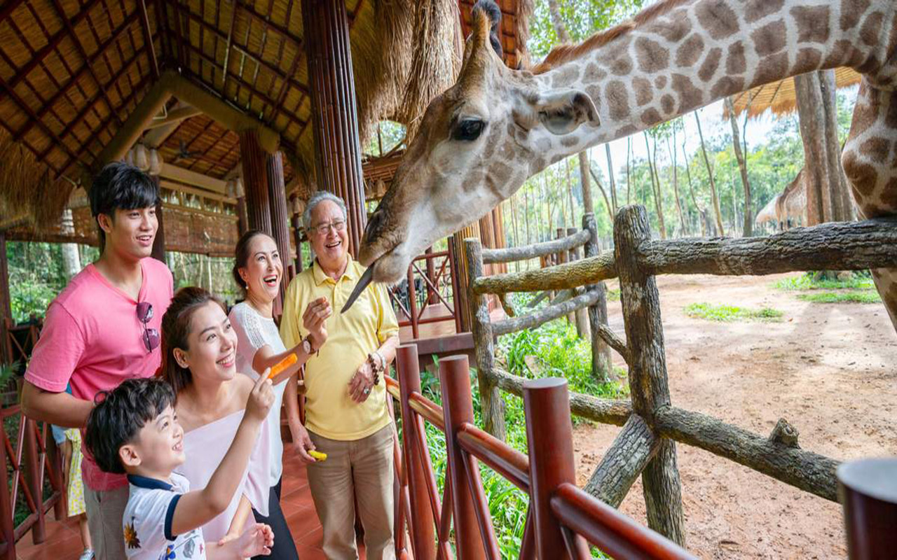 Vinpearl Safari Phú Quốc - Kinh nghiệm, giá vé chi tiết (2026) 5 giới thiệu vinpearl safari phú quốc