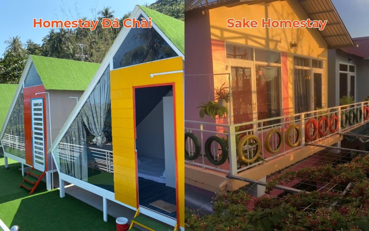 Homestay Hòn Sơn: Top địa chỉ view đẹp, giá rẻ 2026 8 Đá Chài hay Sake Homestay là gợi ý giá hợp lý khi đến Hòn Sơn