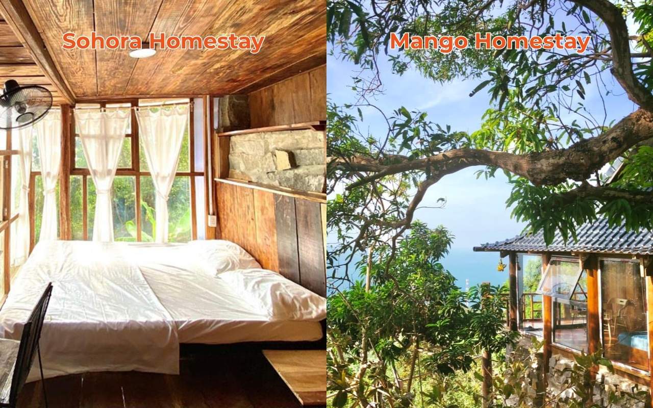 Homestay Hòn Sơn: Top địa chỉ view đẹp, giá rẻ 2026 7 Sohora và Mango là homestay ở trên núi