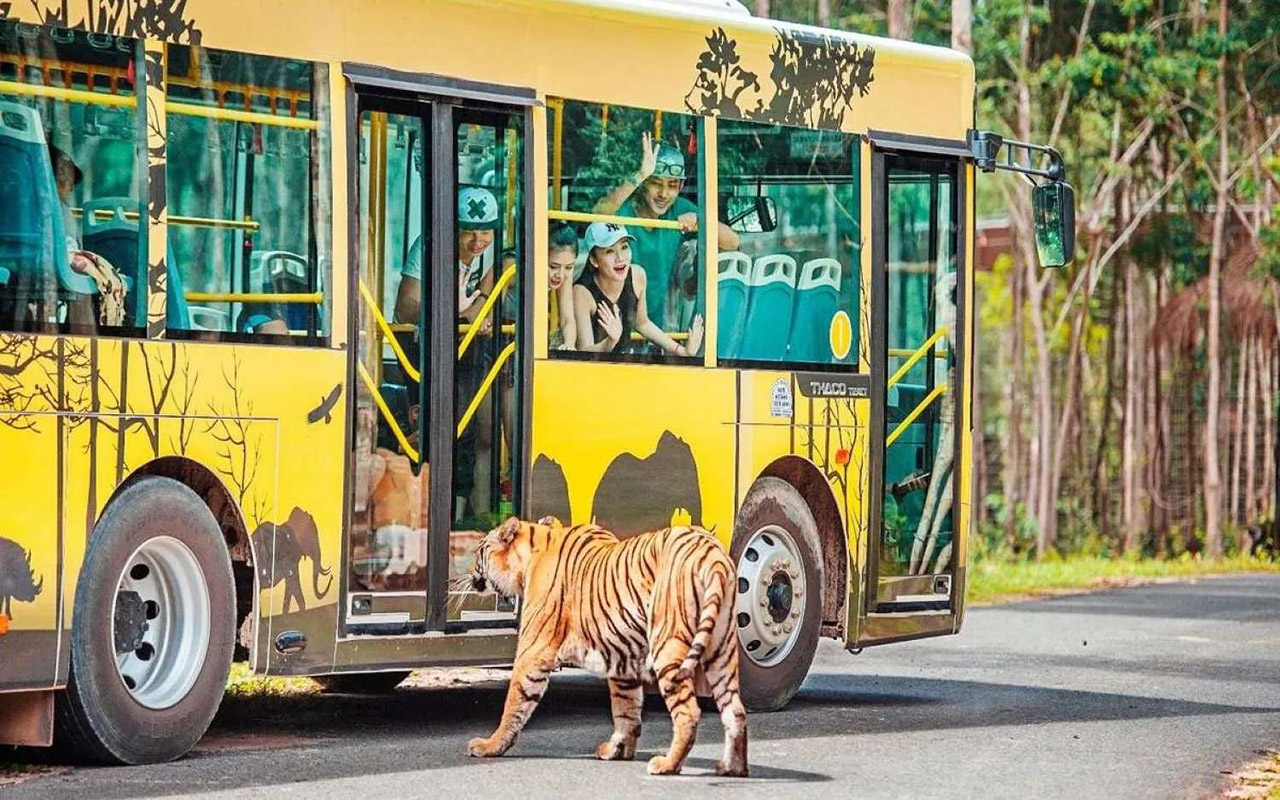 Vinpearl Safari Phú Quốc - Kinh nghiệm, giá vé chi tiết (2026) 4 mua vé vinpearl safari phú quốc