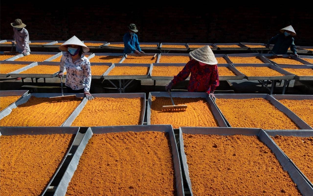 Đặc sản Tây Ninh - Top 10 món ngon nức tiếng 2026 8 Muối tôm Tây Ninh có màu sắc đẹp mắt