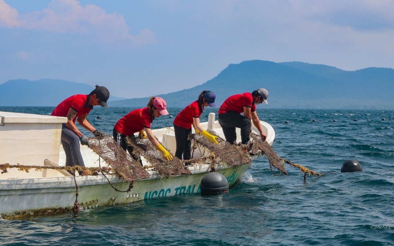 Ngọc trai Phú Quốc - Khám phá món quà đẹp từ biển cả 4 Quy trình nuôi cấy ngọc trai Phú Quốc