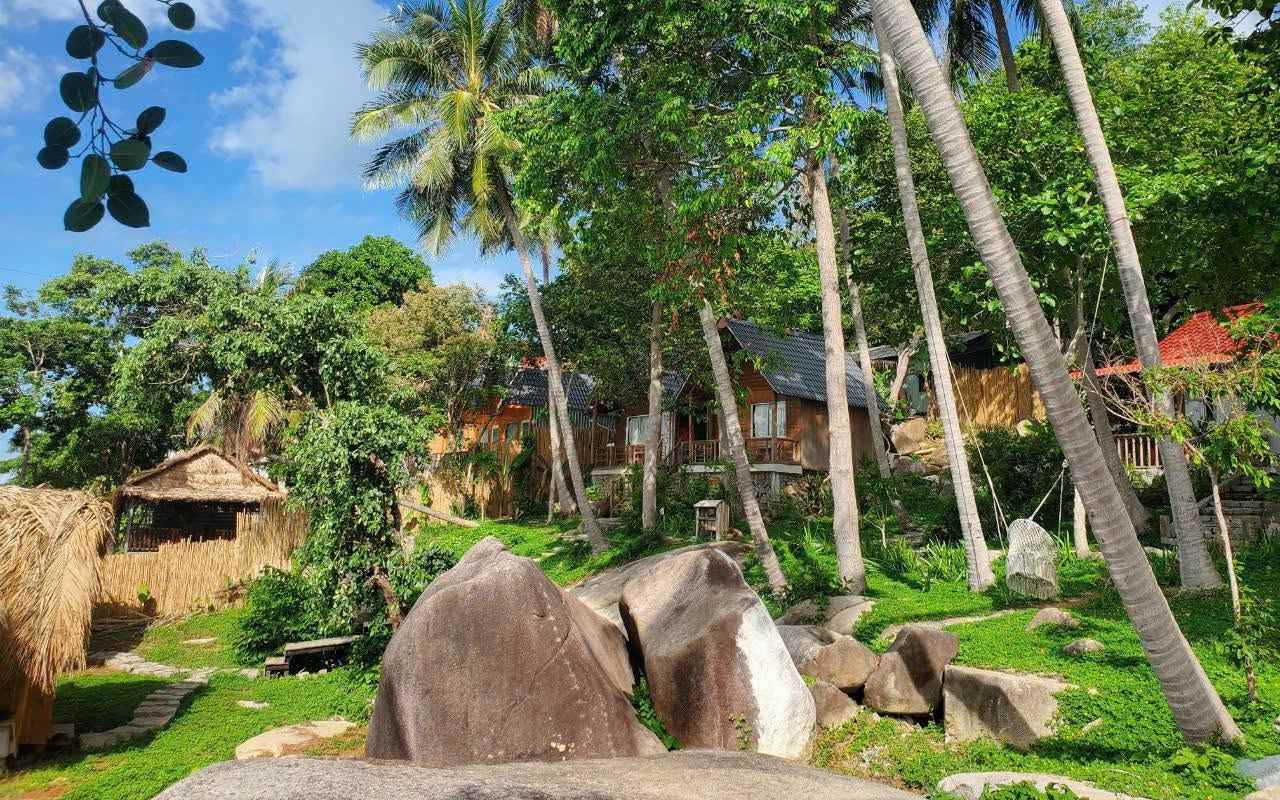 Homestay Hòn Sơn: Top địa chỉ view đẹp, giá rẻ 2026 3 Rái Cá gây ấn tượng nhờ thiết kế mộc mạc và hướng thẳng ra biển