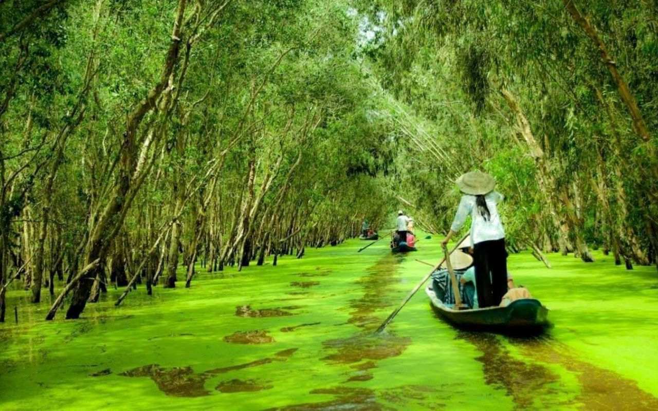 Rừng Tràm Trà Sư An Giang - Kinh nghiệm du lịch A-Z 2026 7 rừng tràm Trà Sứ mùa nào đẹp