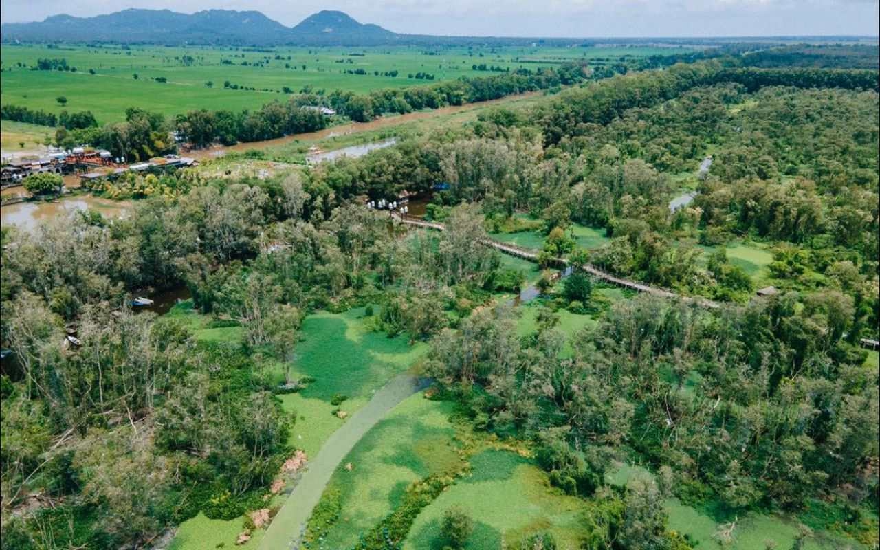 Rừng Tràm Trà Sư An Giang - Kinh nghiệm du lịch A-Z 2026 2 rừng tràm Trà Sư ở An Giang