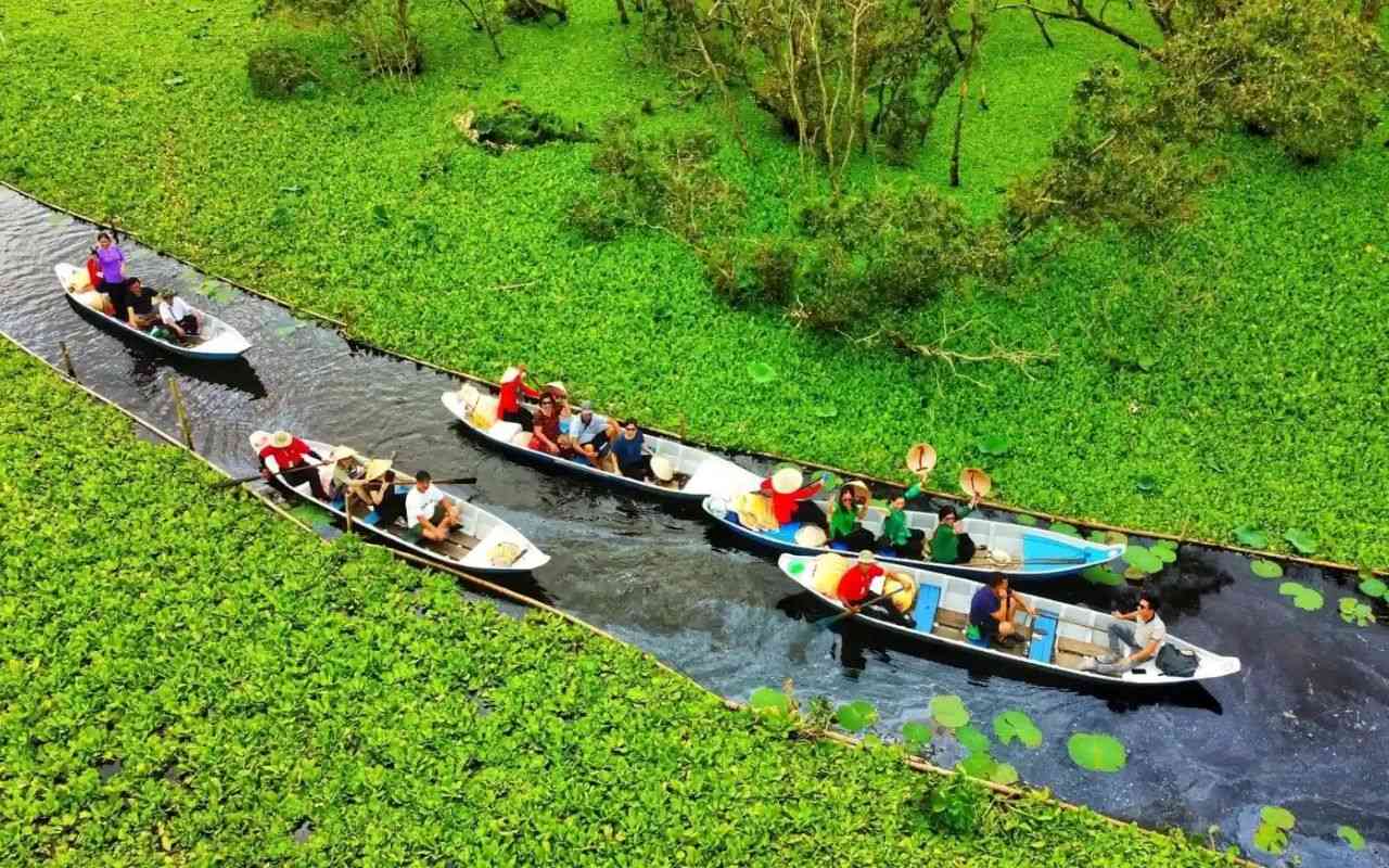Rừng Tràm Trà Sư An Giang - Kinh nghiệm du lịch A-Z 2026 3 rừng tràm Trà Sư ở đâu