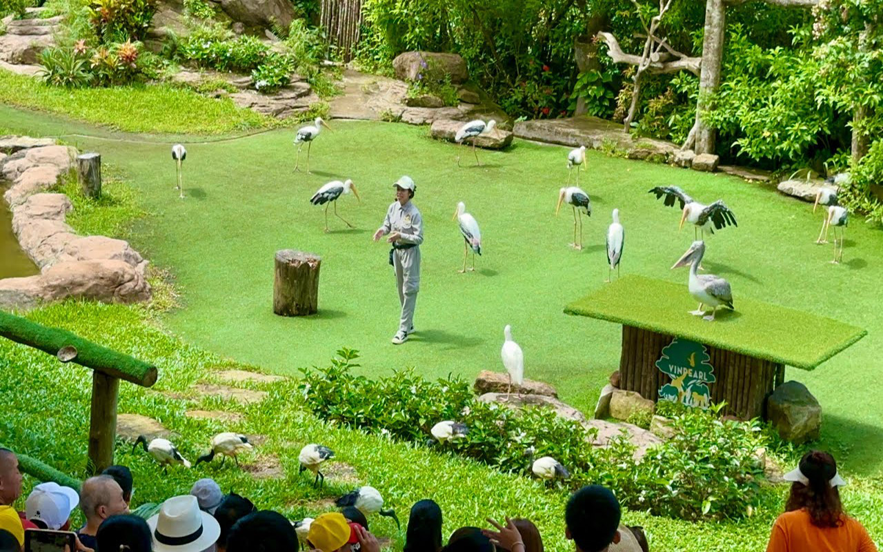 Vinpearl Safari Phú Quốc - Kinh nghiệm, giá vé chi tiết (2026) 7 tham quan vinpearl safari phú quốc