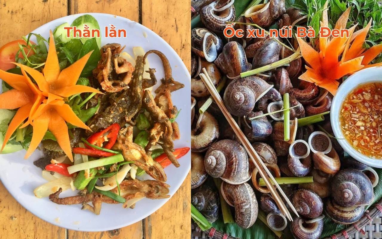 Đặc sản Tây Ninh - Top 10 món ngon nức tiếng 2026 5 Thằn lằn và ốc xu núi Bà Đen