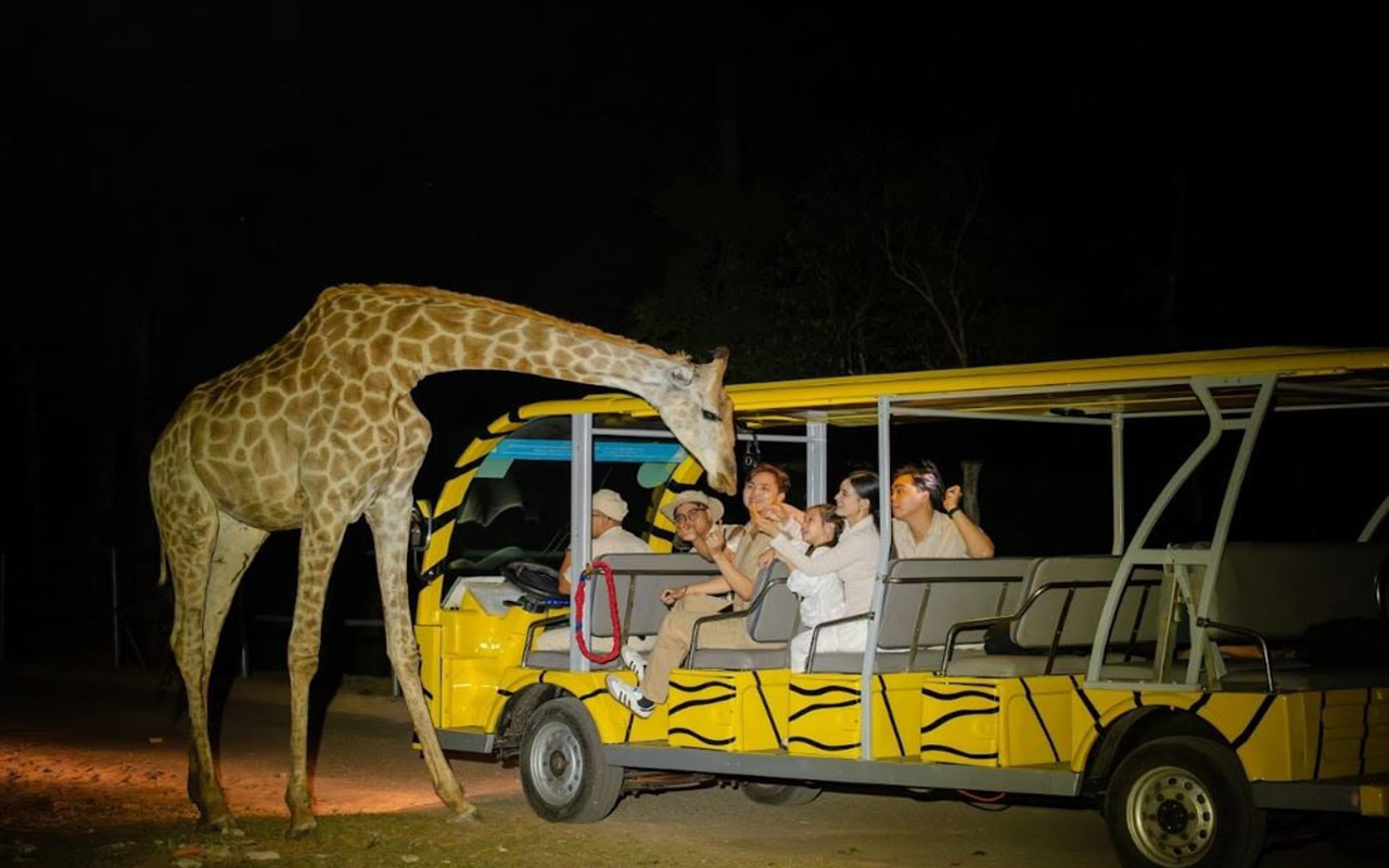 Vinpearl Safari Phú Quốc - Kinh nghiệm, giá vé chi tiết (2026) 9 vé tham quan vinpearl safari phú quốc