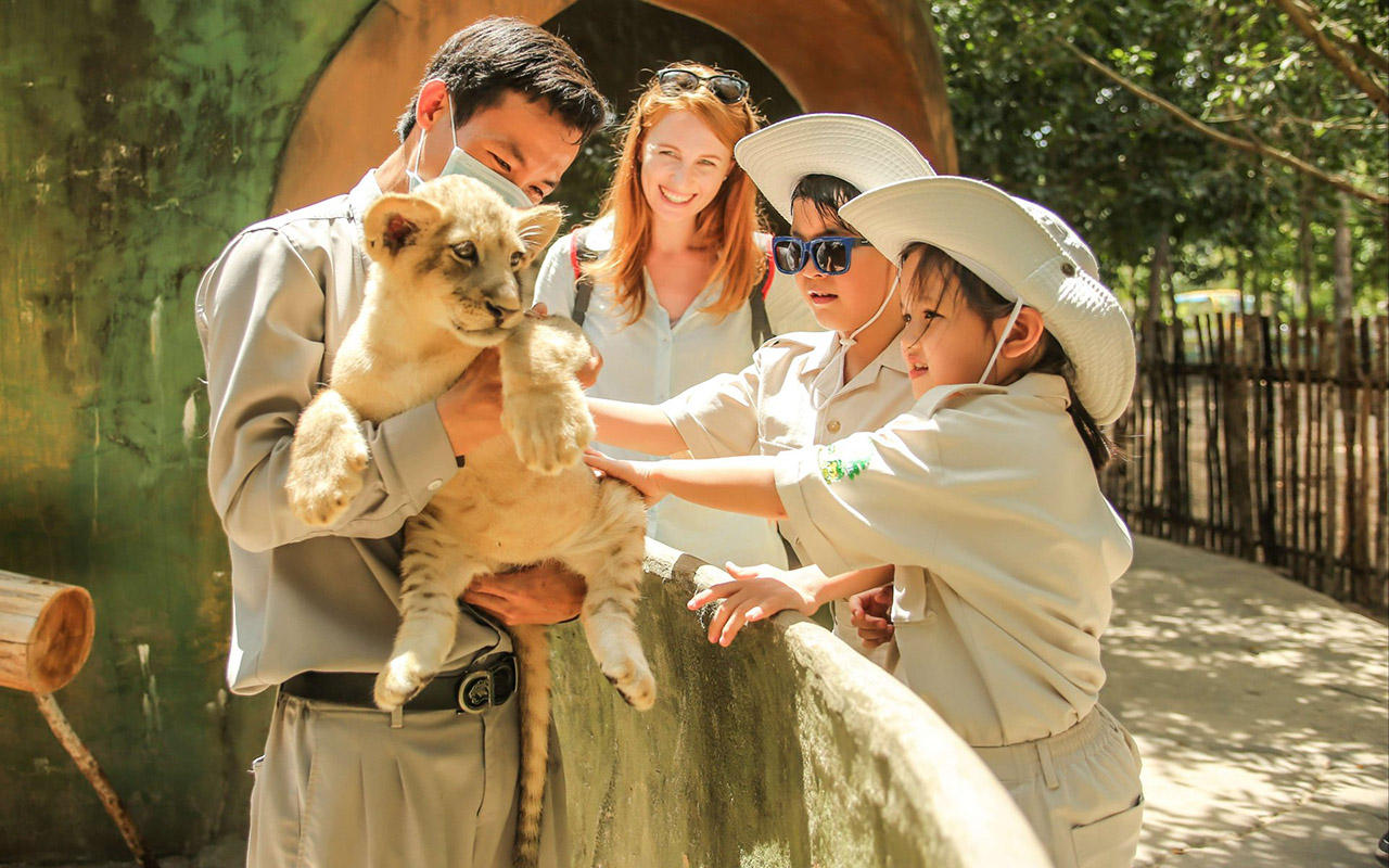 Vinpearl Safari Phú Quốc - Kinh nghiệm, giá vé chi tiết (2026) 8 vinpearl safari phú quốc có gì chơi