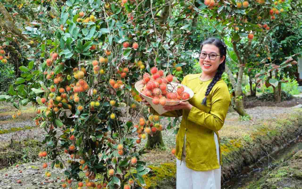 Vườn trái cây Cần Thơ - Top 5 miệt vườn nổi tiếng (2026) 8 Vườn trái cây Cần Thơ Cồn Sơn