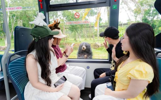 Combo Vinpearl Phú Quốc 3 ngày 2 đêm | Tour cano 3 đảo 11 Vinpearl Safari