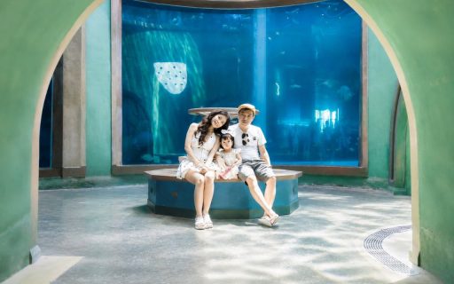 Combo Vinpearl Phú Quốc 5N4Đ | KS Sunset Town | Tour cano 3 đảo | Cáp treo Hòn Thơm 13 Combo Vinpearl Phú Quốc 5N4Đ - VinWonders