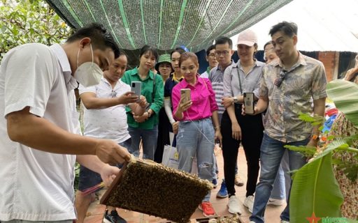 Tour Cần Thơ Vĩnh Long 1 ngày - Cù lao An Bình 7 Tour Cần Thơ Vĩnh Long 1 ngày - Xem quy trình nuôi ong lấy mật