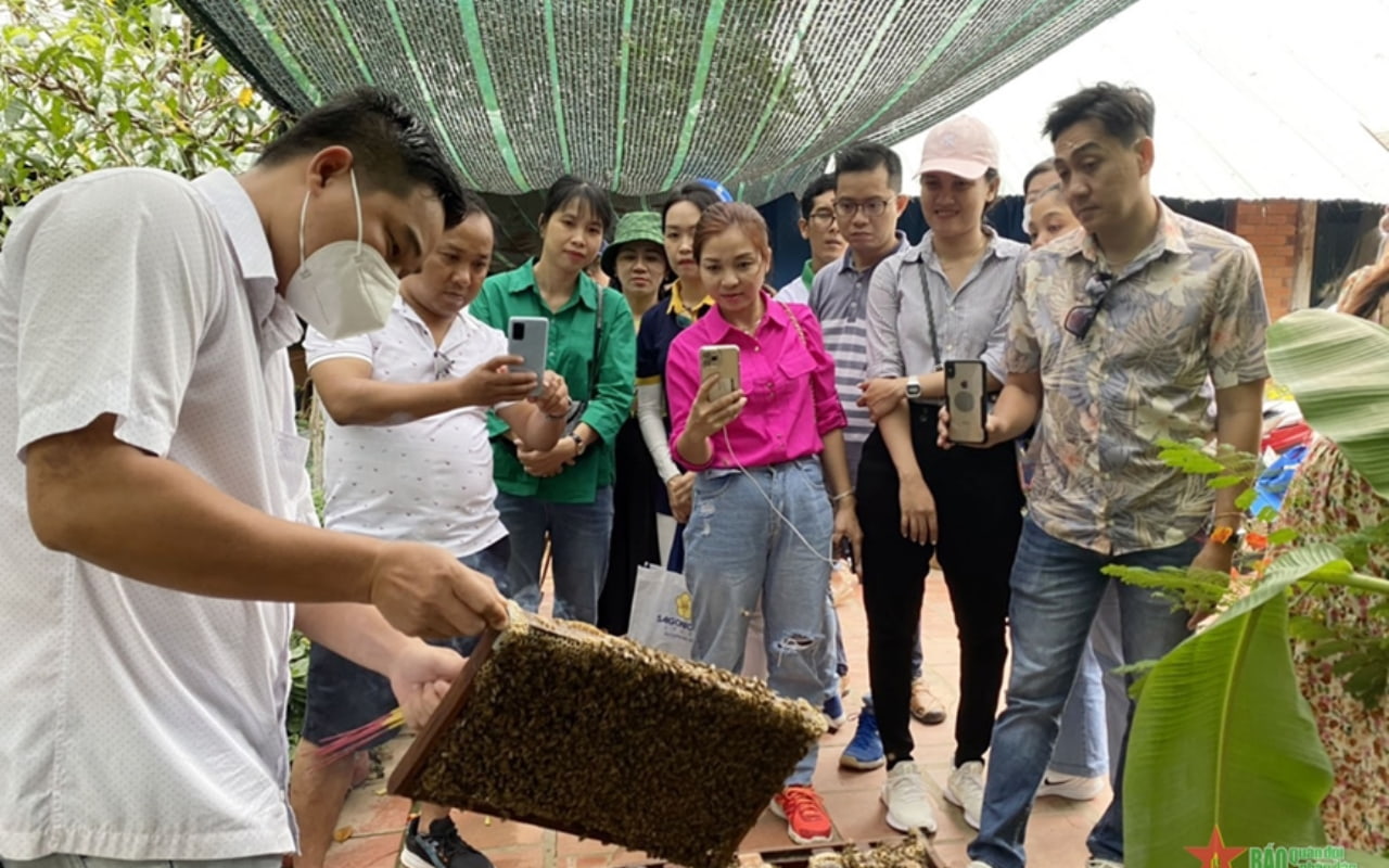 Tour Cần Thơ Vĩnh Long 1 ngày - Cù lao An Bình 3 Tour Cần Thơ Vĩnh Long 1 ngày - Xem quy trình nuôi ong lấy mật