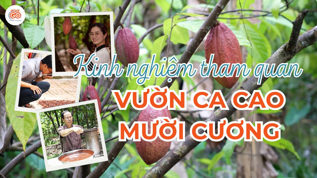 Vườn Ca Cao Mười Cương - Địa chỉ, giá vé, kinh nghiệm 2026 1 Vườn Ca Cao Mười Cương