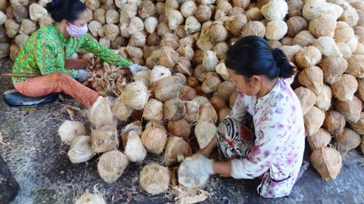 Explore local coconut-processing workshop in Ben Tre