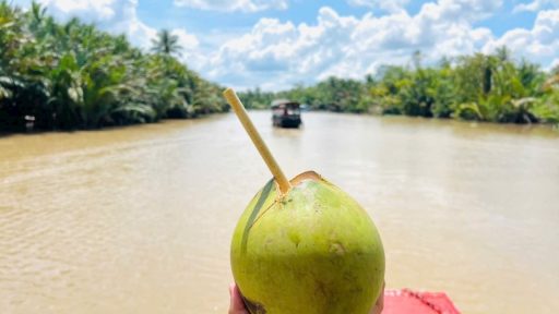 Mekong Delta tour 1 day from Ho Chi Minh City - Visit Ben Tre