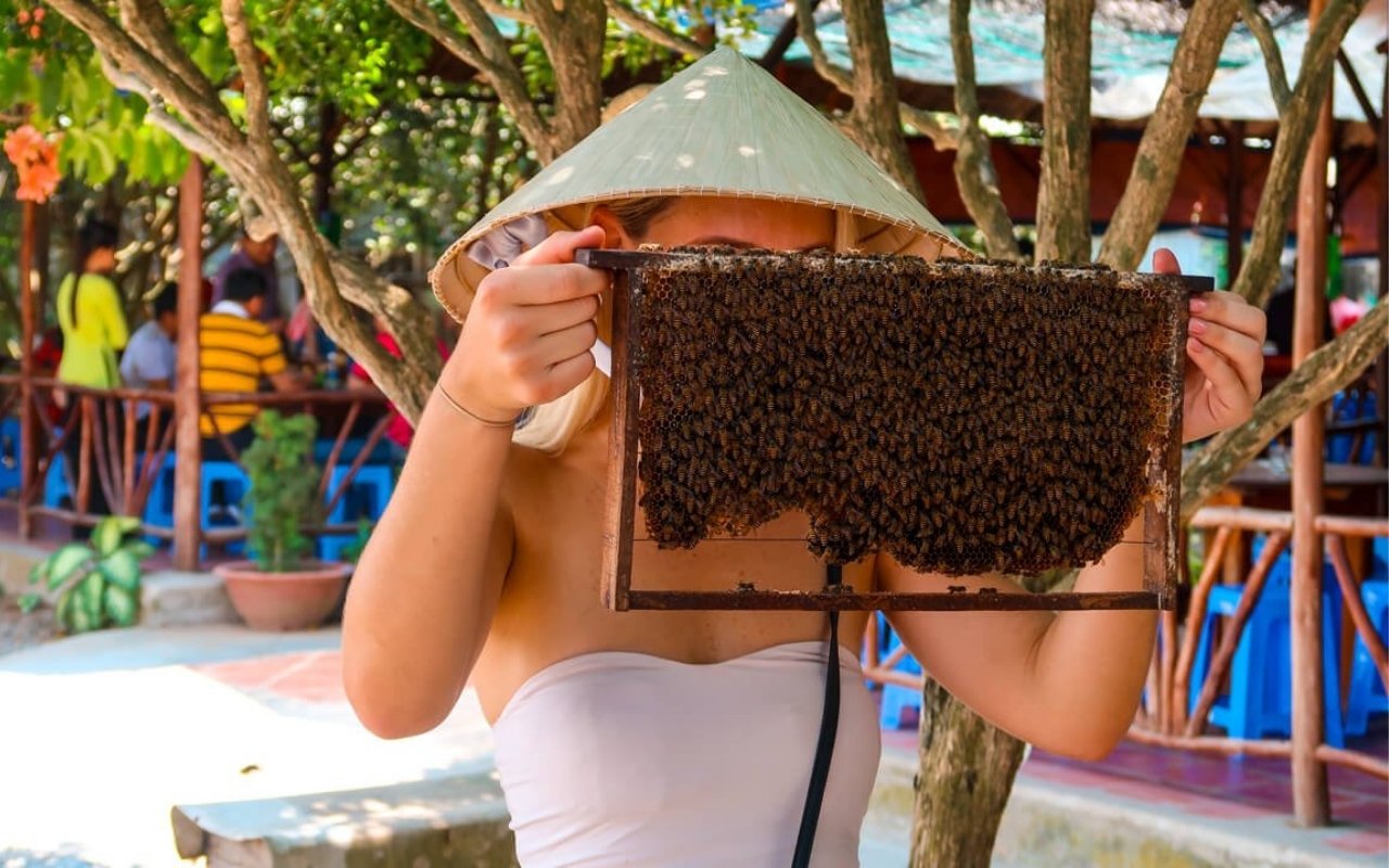 Thăm trại nuôi ong lấy mật hoa nhãn