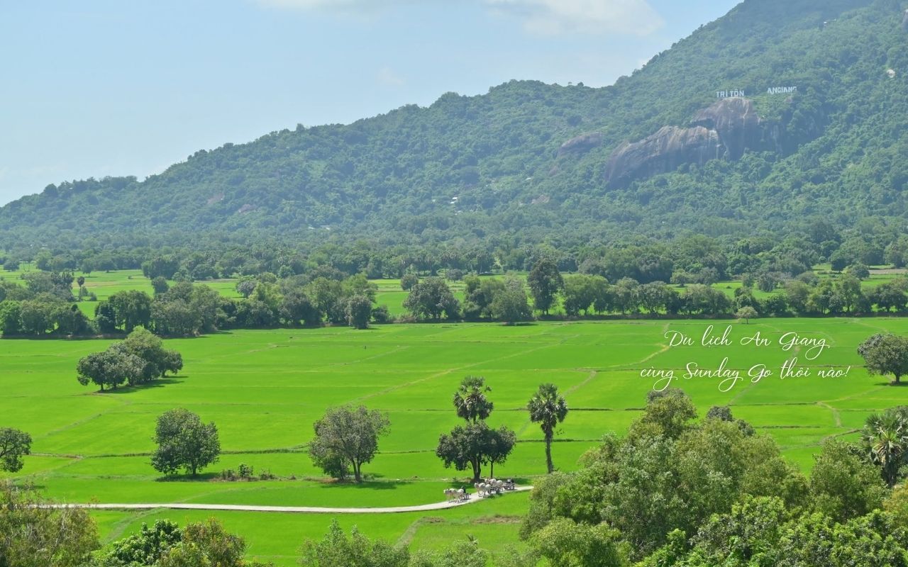 Tour Cần Thơ An Giang 1 ngày | Trải nghiệm mùa nước nổi 19 tour Cần Thơ An Giang 1 ngày